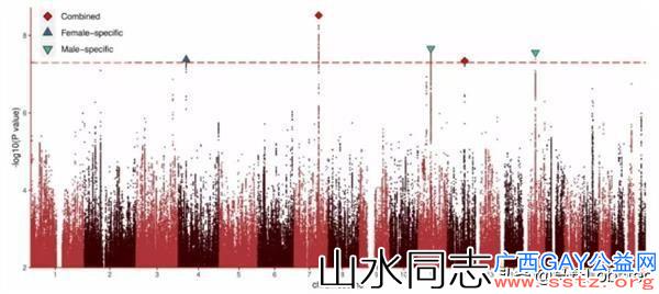 同性恋：先天基因决定 还是后天被人"掰弯"？